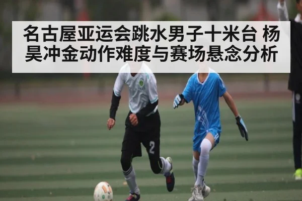名古屋亚运会跳水男子十米台 杨昊冲金动作难度与赛场悬念分析